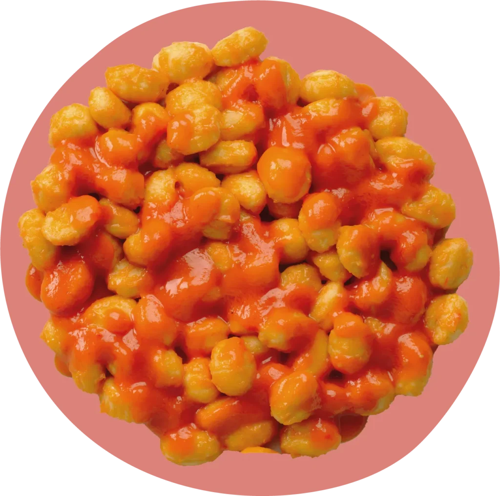 Piatto NAM Gnocchi al pomodoro