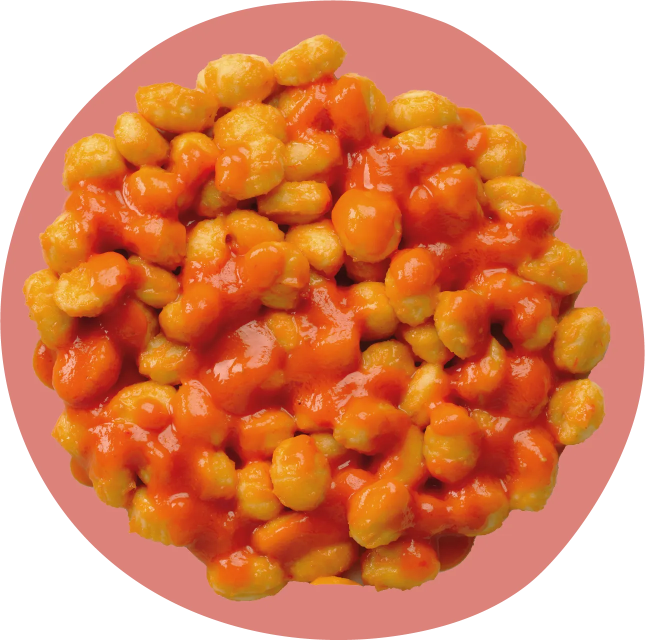 Piatto NAM Gnocchi al pomodoro