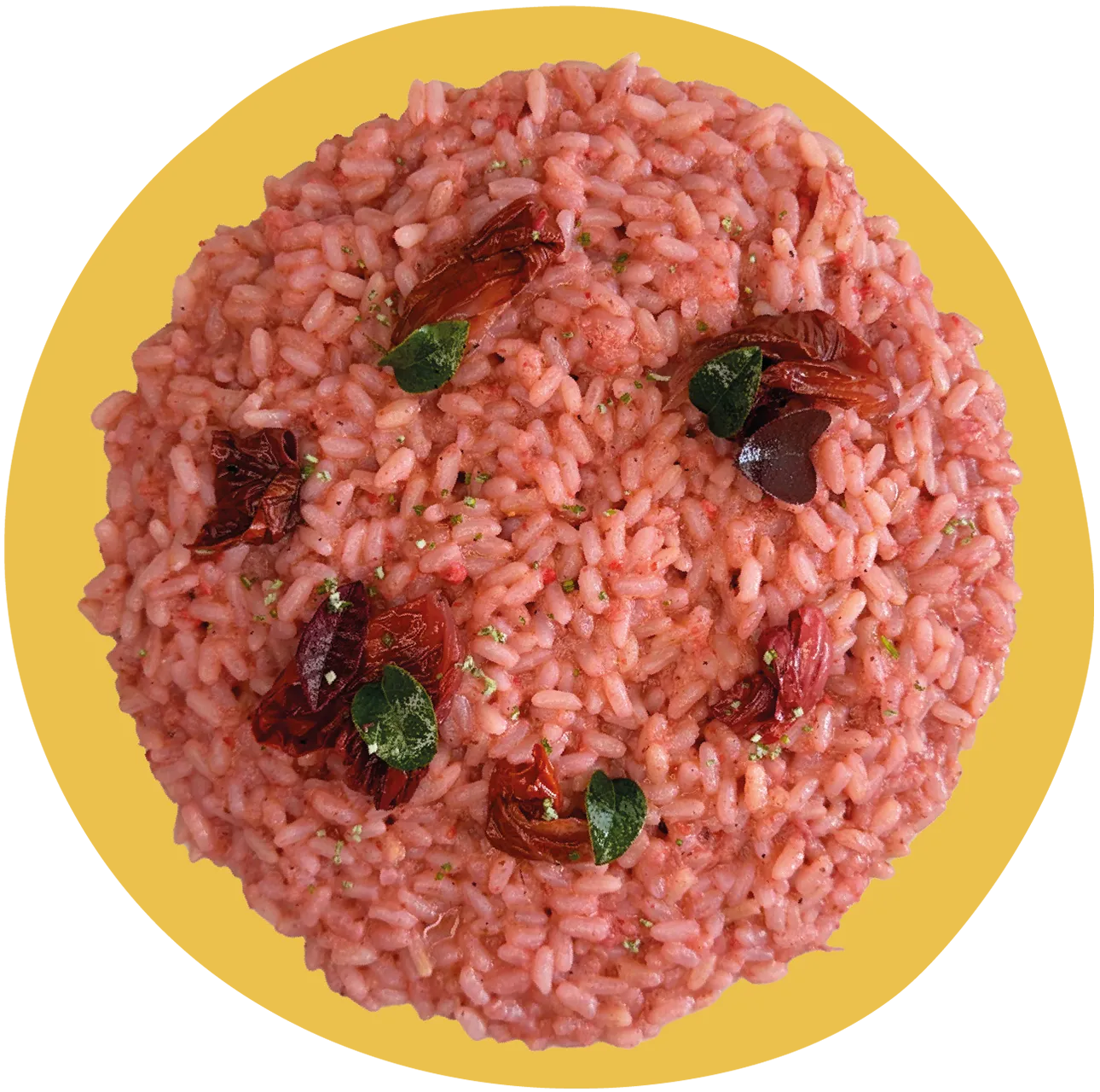 Piatto NAM Risotto al radicchio