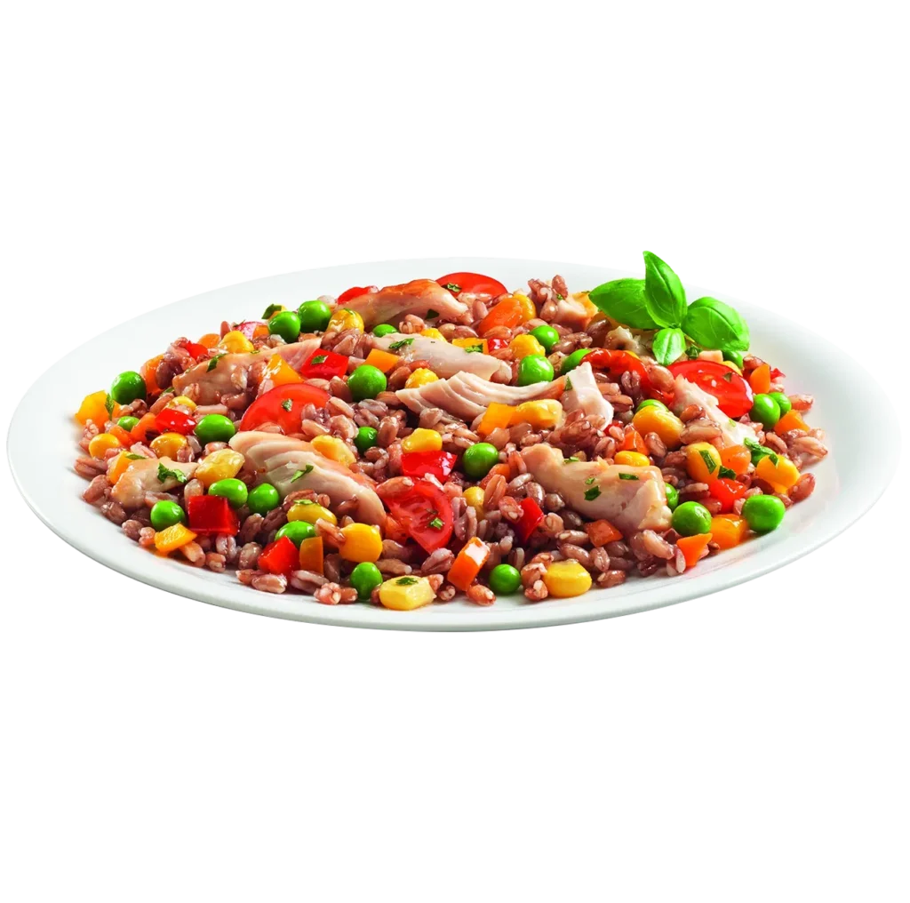 Piatto NAM Farro con tacchino arrosto
