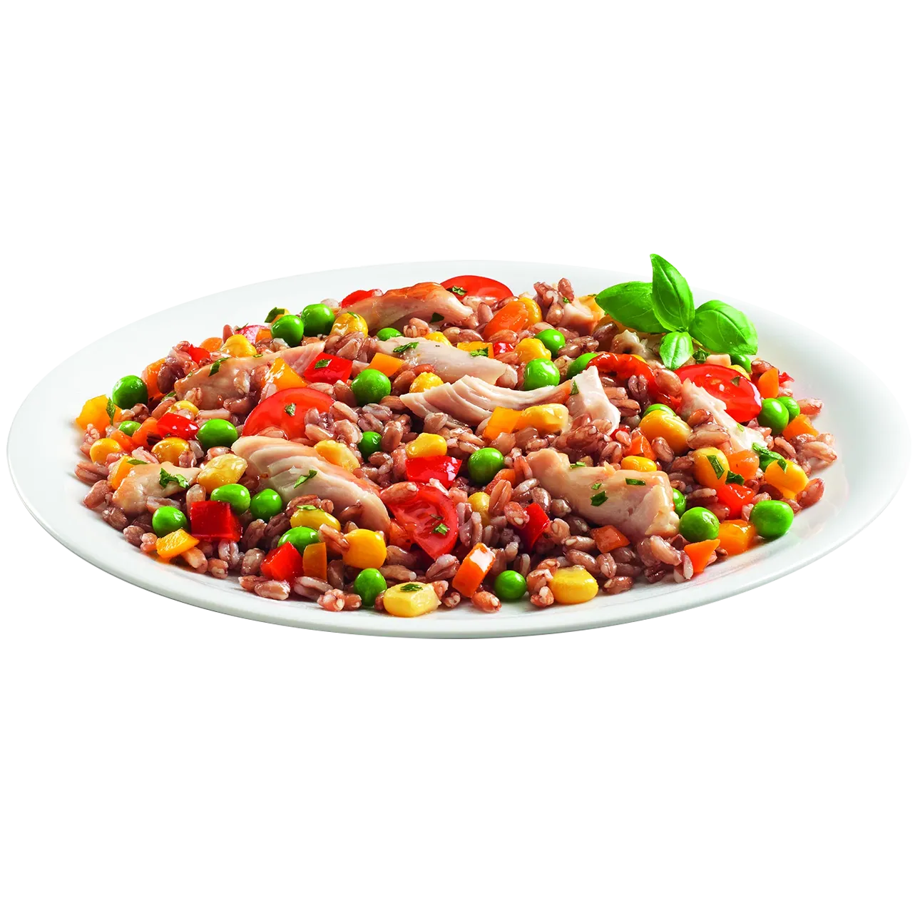 Piatto NAM Farro con tacchino arrosto